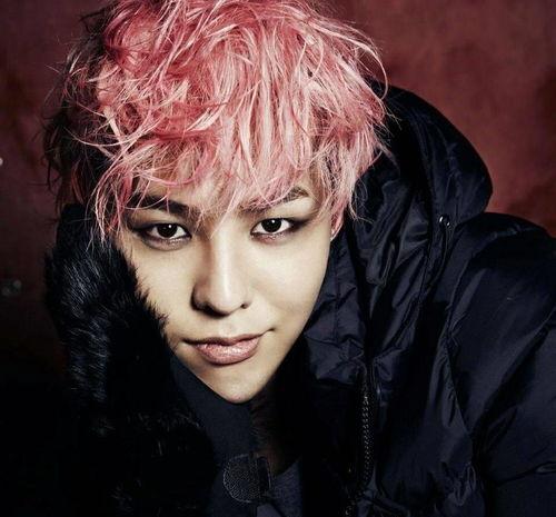 wtm明星,闪耀舞台，魅力无限