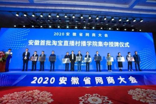 枞阳县平安镇新闻头条,聚焦乡村振兴新篇章