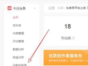 头条小店平台如何接单