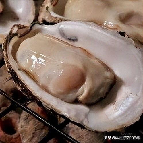 今日头条生蚝价格多少,生蚝价格行情一览，新鲜美味触手可及