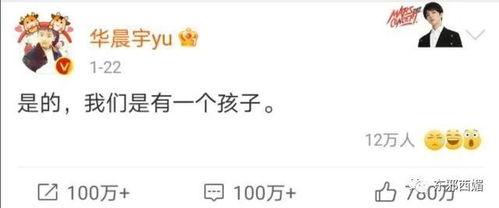 吃瓜新闻bgm,跟随吃瓜新闻bgm，揭秘娱乐圈幕后风云