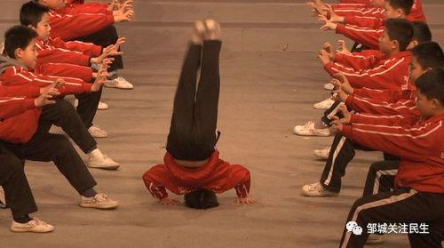 明星武术翻跟斗,武术风采与舞台魅力