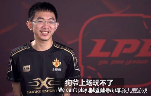 瓶子吃瓜夏季赛转会,战队阵容大洗牌，谁能笑到最后？