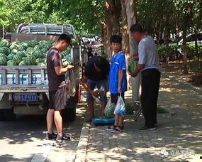 泊头吃瓜群众新闻,最新新闻事件深度解析