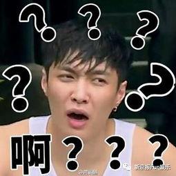 明星what,揭秘明星背后的故事与魅力