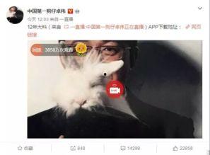天涯爆料模特熊小诺视频,揭秘娱乐圈不为人知的一面