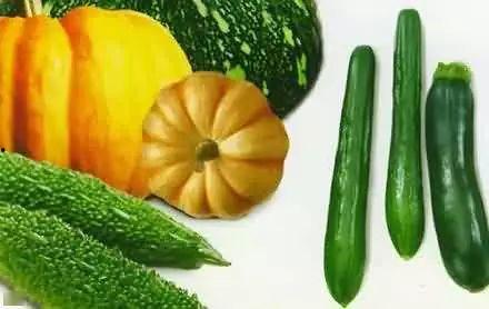 赣马吃瓜,揭秘赣南特色美食背后的故事