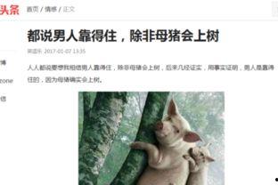 头条怎么选择搞笑领域,笑点满满！头条搞笑领域热门内容精选