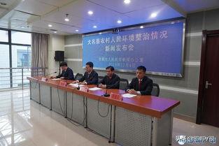 大名县新闻头条,聚焦发展新动态，共绘美好未来画卷