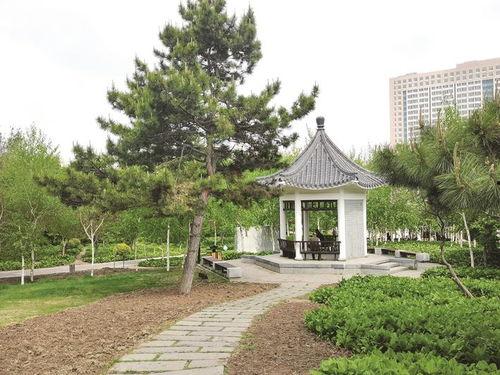 今日头条公园在哪里