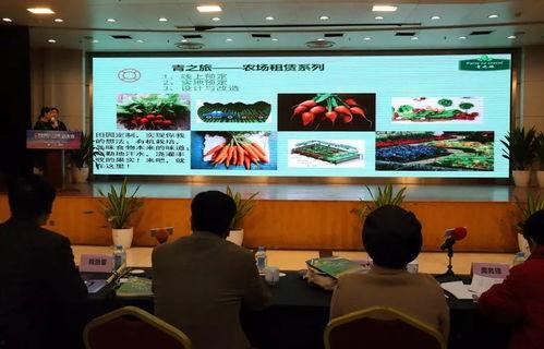 网红农场墙绘图片,田园风光中的艺术画卷