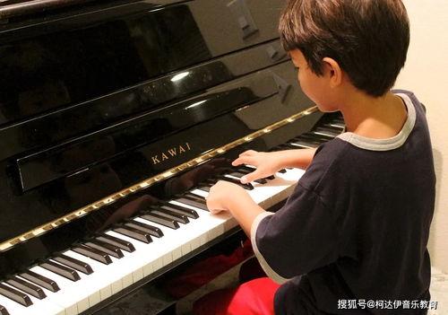 钢琴块2网红歌,网红旋律，指尖上的音乐盛宴