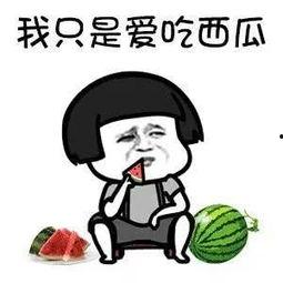 吃瓜快乐什么意思,网络热词背后的社会现象与心理解读